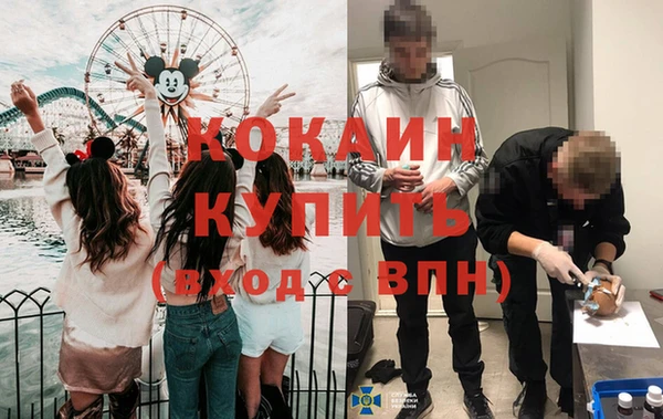 амф Новозыбков