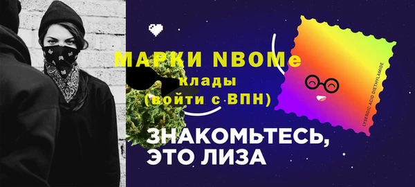 индика Нефтекумск