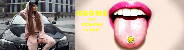 бошки Няндома
