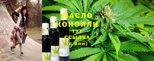 амф Новозыбков