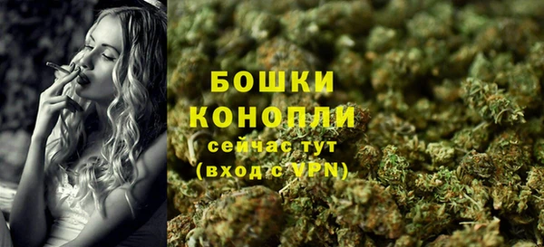 амф Новозыбков