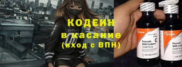 амф Новозыбков