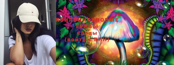 молекула духа Новокубанск