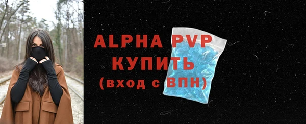 молекула духа Новокубанск